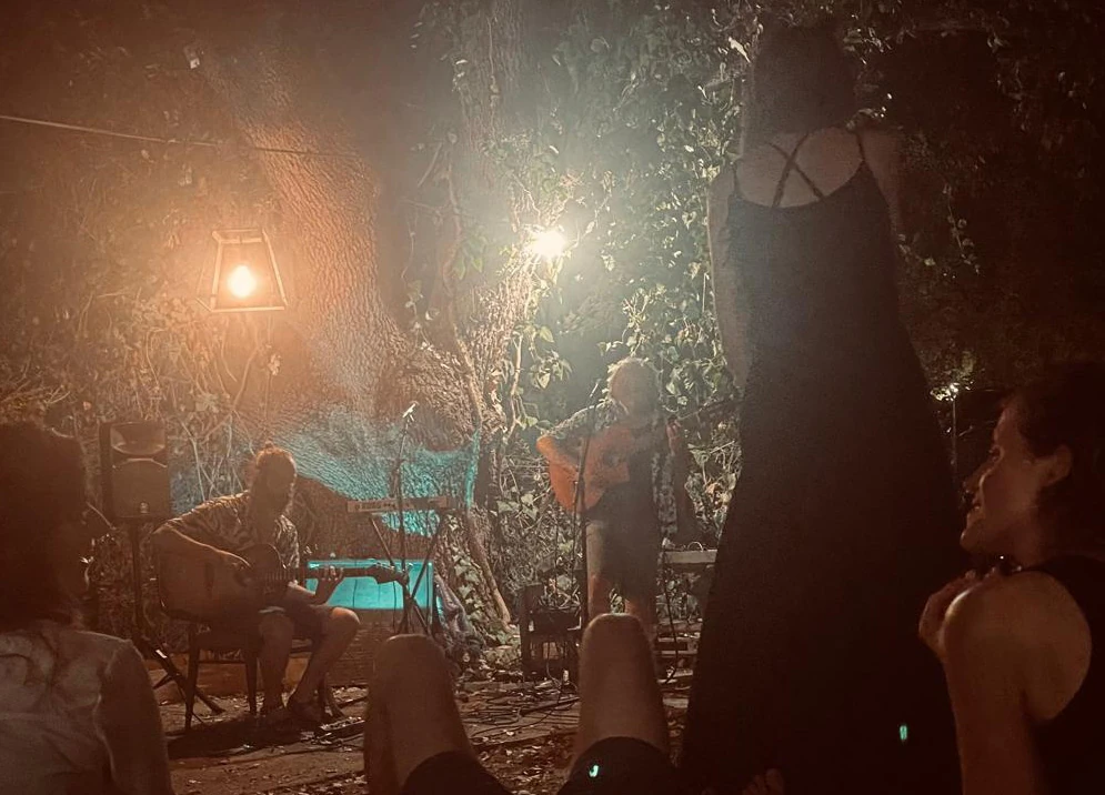 War Darling performing outdoors at night