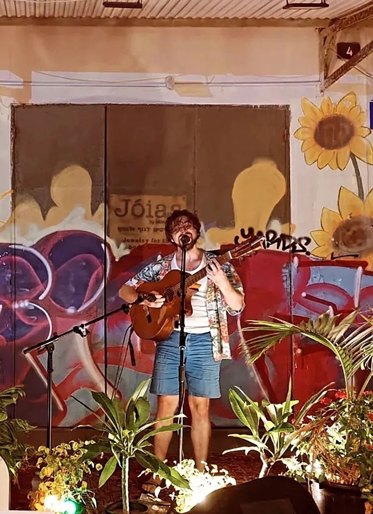 War Darling performing amid plants and painted sunflowers
